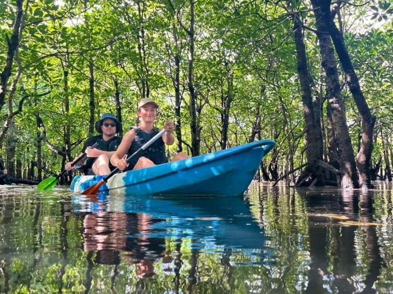 Iriomote island: Mangrove River SUP or Canoe Cruising Tour - What Is the Iriomote Mangrove River Canoe Tour?