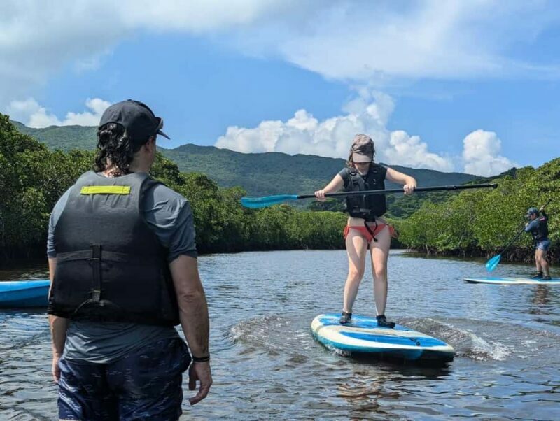 Iriomote island: Mangrove River SUP or Canoe Cruising Tour - What Makes This Tour Stand Out?