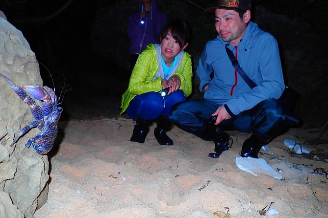 Iriomote Island, Okinawa Night Adventure Tour - Additional Tour Requirements