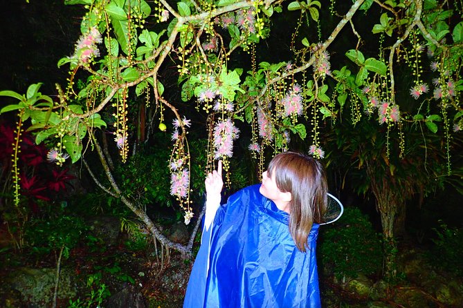 Iriomote Island Sagaribana Observation Tour (Limited From June to August) - Tour Description