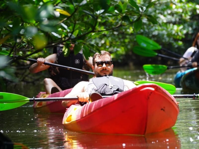 Iriomote: Mangrove Canoe and Yubujima Sightseeing Tour! - Suitable for Beginners and Day Trips
