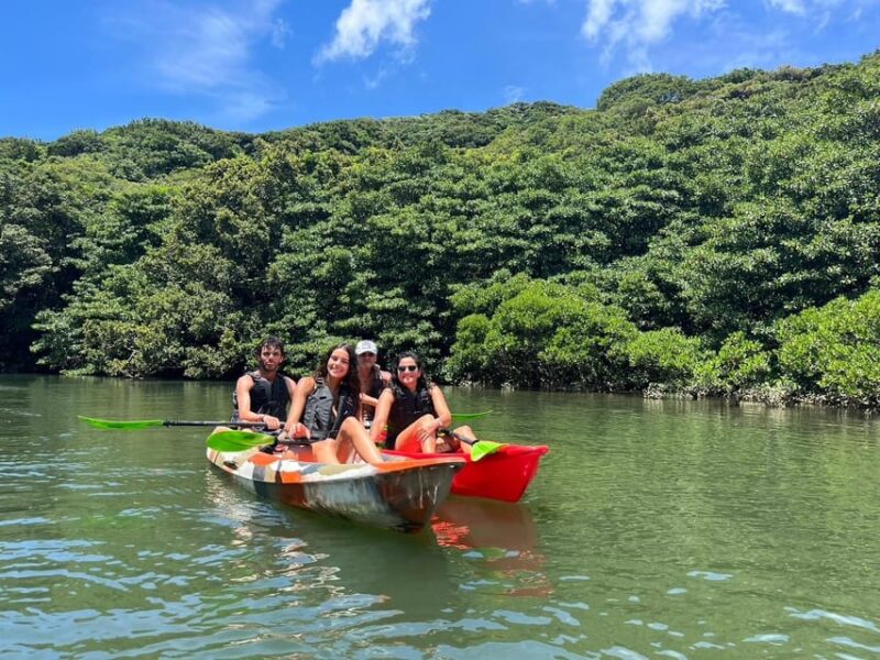 Iriomote Mangrove River Canoe and Snorkeling at Coral Island - Exploring the Mangrove Forests
