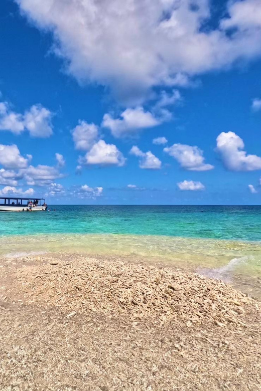 Iriomote Mangrove River Canoe and Snorkeling at Coral Island - Snorkeling Around Barasu Island