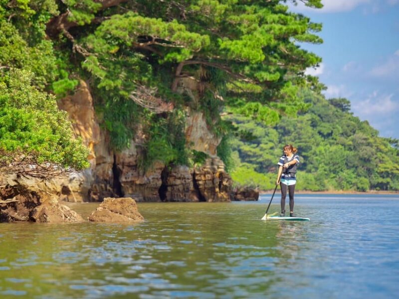 Iriomote Mangrove SUP and Snorkeling at Coral Island - Key Points