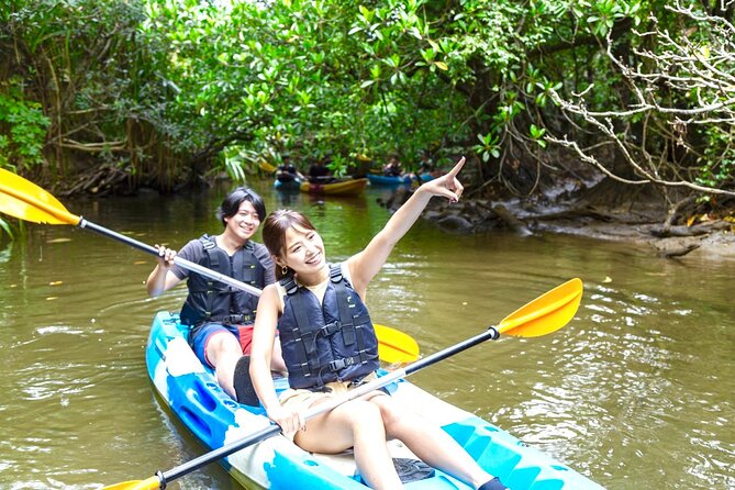 Iriomote Stand-Up Paddleboard (SUP)/Canoe Tour at Mangrove Forest + Splash Canyoning!! - Key Points