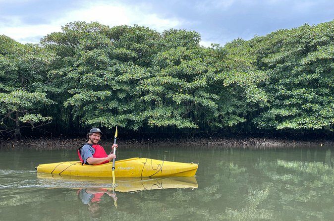 Iriomotes Adventure: Pinaisara Falls Canoe and Trekking Tour - The Sum Up