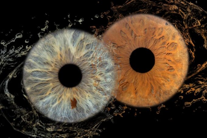 IRIS Photography (Macro Photo of Your Eye) - Duration and Pricing