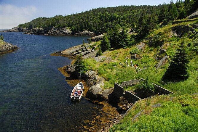 Irish Loop Smartphone Audio Driving Tour - Authenticity and Local Flavor