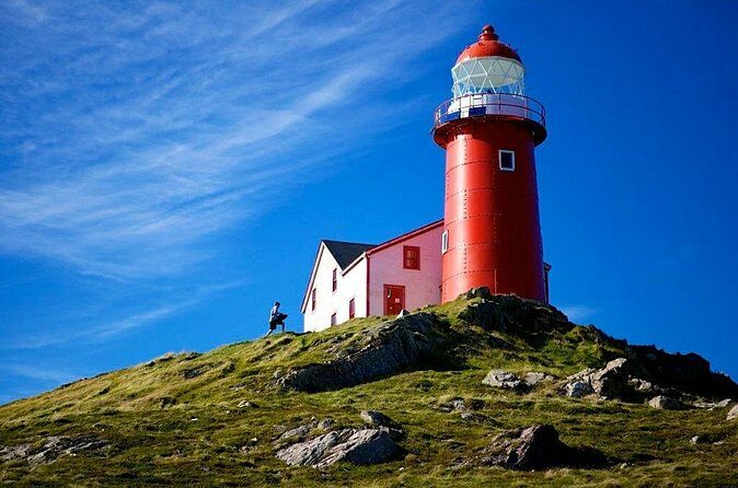 Irish Loop to Ferryland Tour - Who Will Love This Tour?