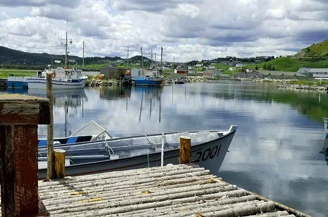 Irish Loop to Ferryland Tour - FAQ