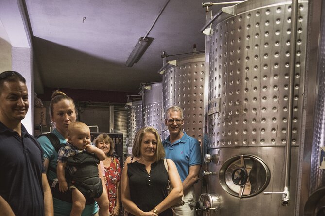 Irpinia Tour of the Vineyards, Cooking Class and Wine-Tasting - Cancellation and Additional Details