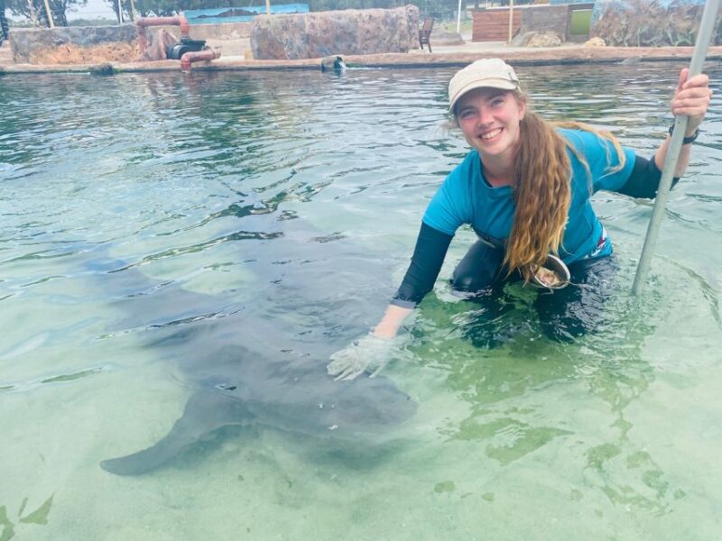 Irukandji Entry Pass & Reef Shark Encounter (12+) - Key Points