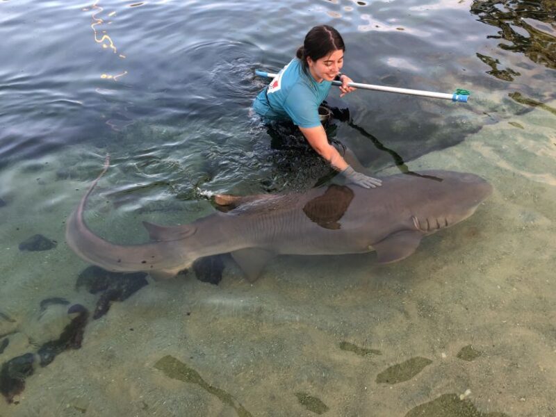 Irukandji Entry Pass & Reef Shark Encounter (12+) - Booking and Cancellation