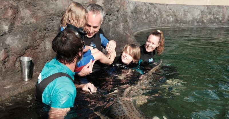 Irukandji Entry Pass & Zebra Shark Encounter - Suitability for Families