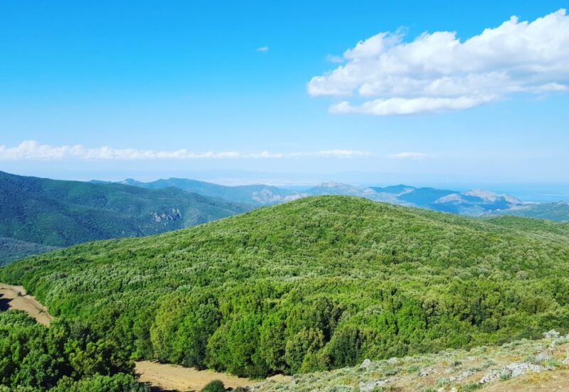 Is Cannoneris Nature Reserve Walking and Jeep Private Tour - Tour Inclusions
