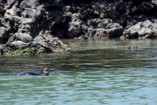 Isabela Island Explorer 2 Days -1 Night - Key Points
