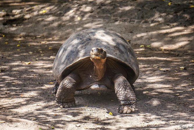 Isabela Island Explorer 2 Days -1 Night - Discovering Isabelas Natural Wonders