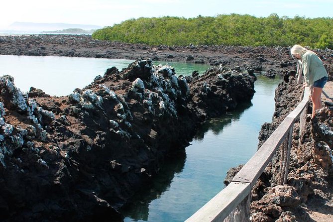 Isabela Island Explorer 2 Days -1 Night - Tour Inclusions and Exclusions