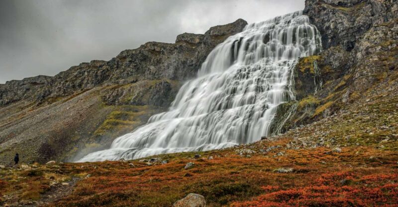 Isafjordur: Dynjandi Waterfall Tour and Icelandic Farm Visit - Itinerary Highlights