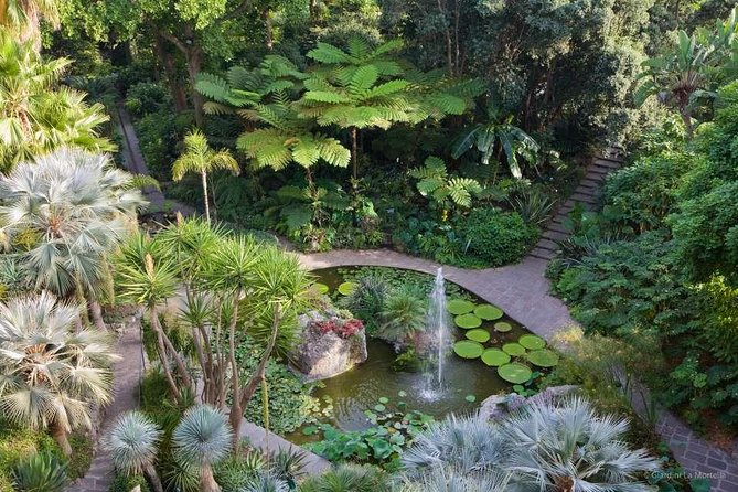 Ischia and La Mortella Gardens - Accessibility and Participation