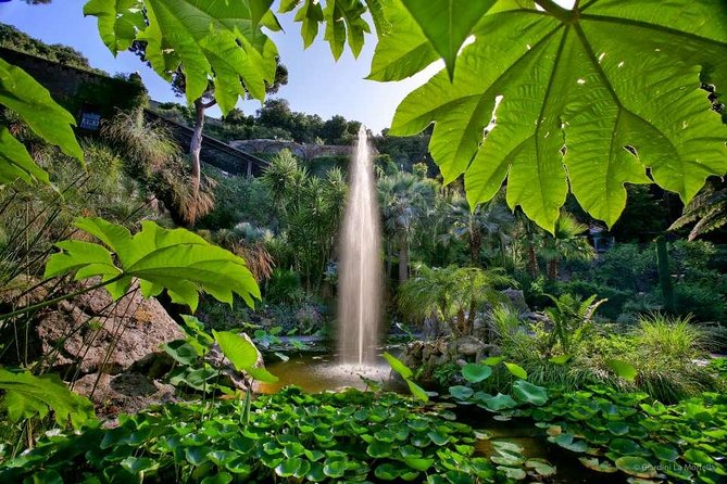 Ischia and La Mortella Gardens - Hassle-Free Day Trip Experience