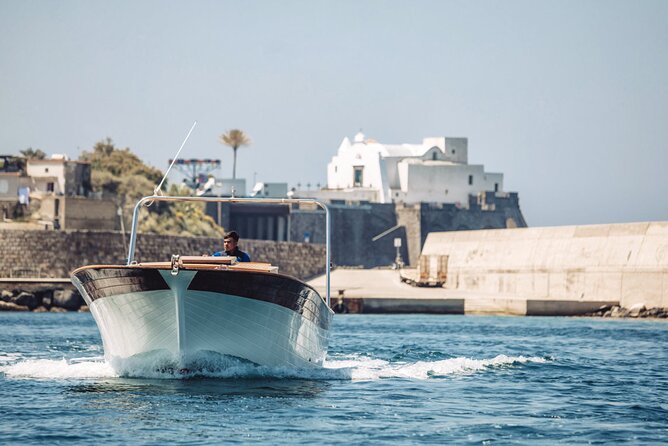 Ischia Boat Tour Half Day - Health and Accessibility