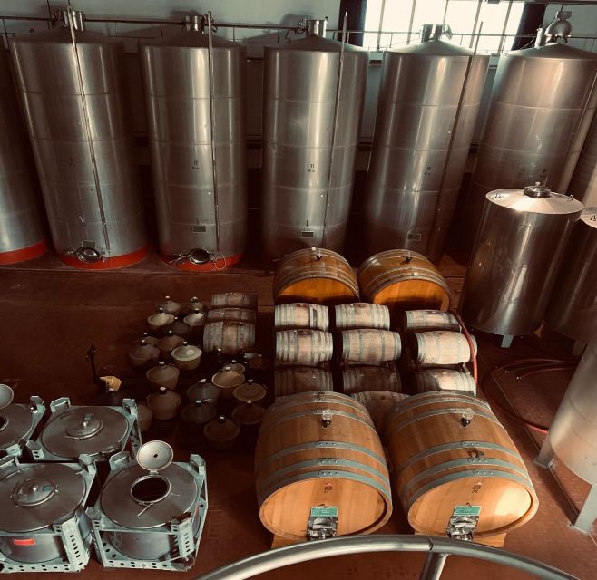 Ischia: Vineyard Tour & Wine Tasting Experience W/ Transfers - Tour Highlights