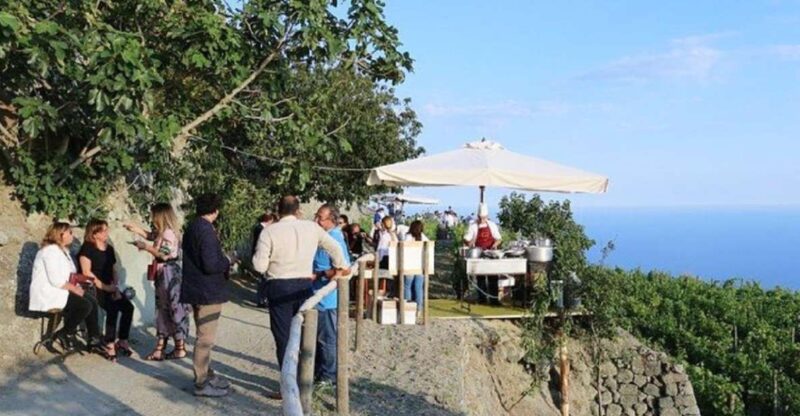 Ischia: Vineyard Tour & Wine Tasting Experience W/ Transfers - Customer Feedback