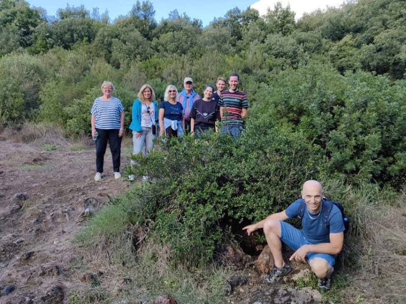 Ischia: Volcano Minibus Tour - What to Expect During the Tour