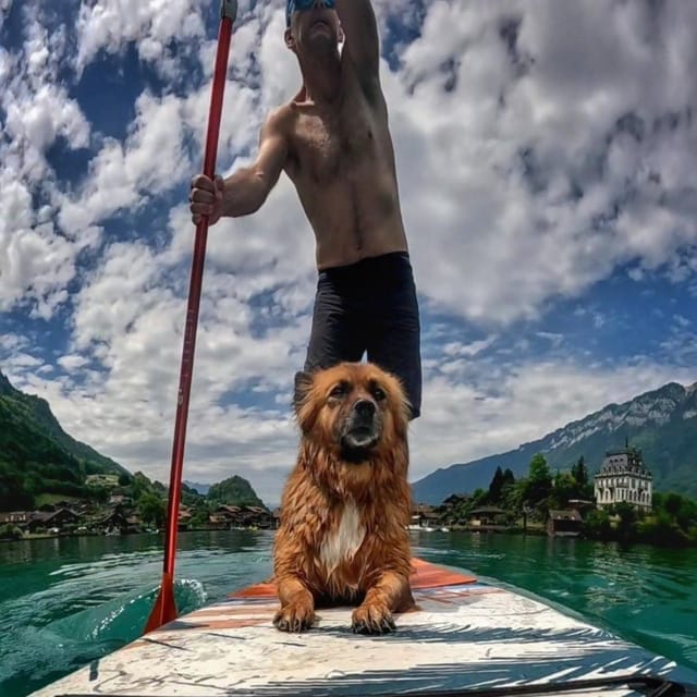 Iseltwald: SUP Private Class + Brunch - Instruction and Experience