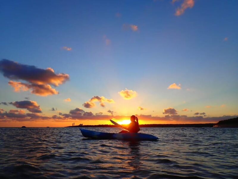 Ishigaki: Amazing Sunrise Canoe Tour at the Mangrove River - Whats Included in the Tour