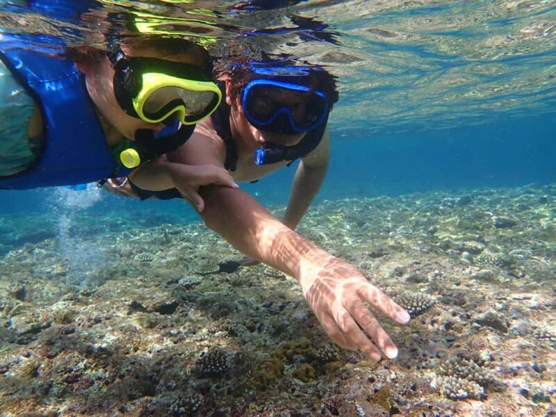 Ishigaki: Canoe or SUP at Kabira BaySnorkeling at Blue Cave - The Sum Up: A Worthwhile Coastal Adventure