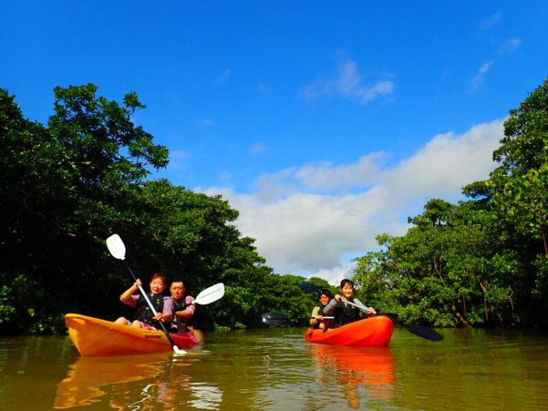 Ishigaki Island: 2-Hour Miyara River Kayaking Tour - Booking and Pricing