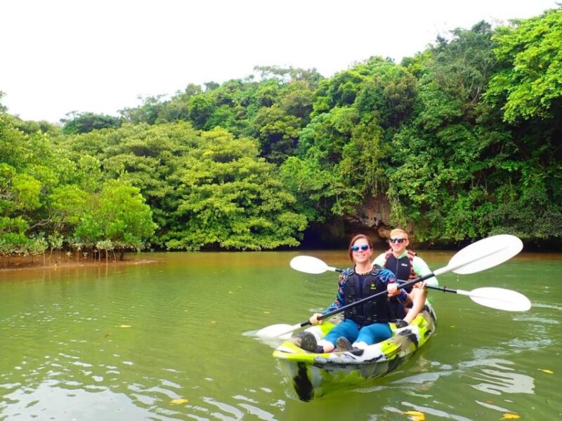 Ishigaki Island: 2-Hour Miyara River Kayaking Tour - Inclusions and Exclusions