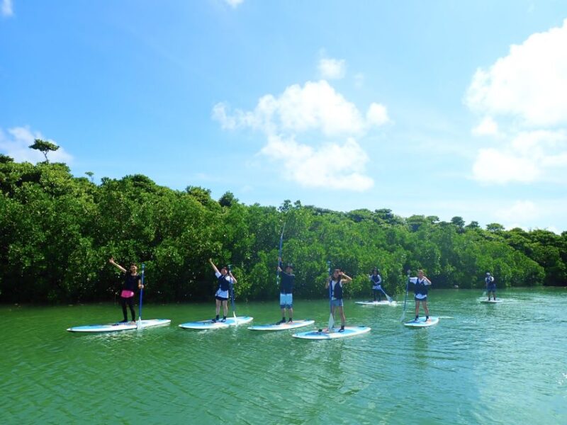 Ishigaki Island: 2-Hour Miyara River Kayaking Tour - Tour Logistics