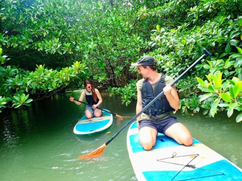 Ishigaki Island: 2-Hour Miyara River Kayaking Tour - Explore Miyara River