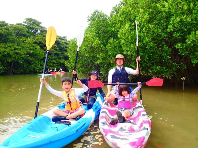 Ishigaki Island: 2-Hour Miyara River Kayaking Tour - Designated National Monument