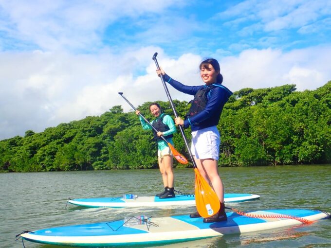 Ishigaki Island: 2-Hour Miyara River Kayaking Tour - Southern Area Pickup