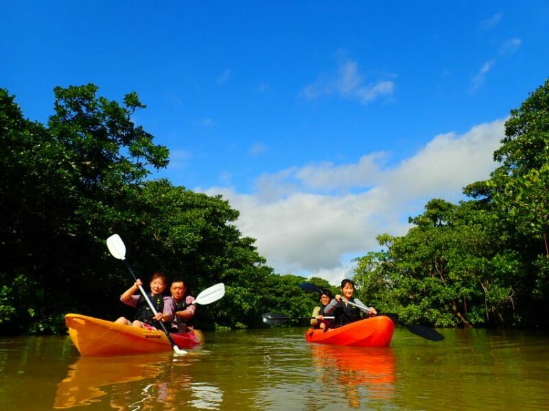 Ishigaki Island: 2-Hour Miyara River SUP or Canoeing Tour - Key Points