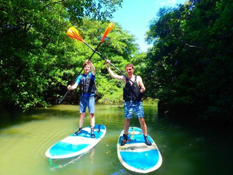 Ishigaki Island: 2-Hour Miyara River SUP or Canoeing Tour - Final Thoughts