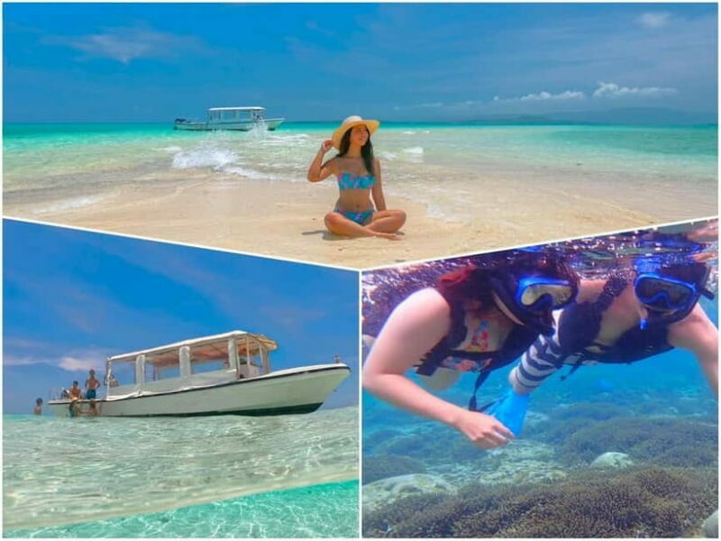Ishigaki Island: Boat Snorkeling Tour at Phantom Island - Key Points