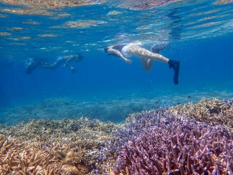 Ishigaki Island: Boat Snorkeling Tour at Phantom Island - The Value of This Tour