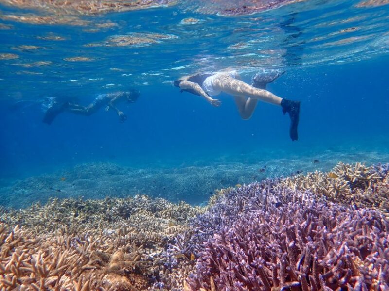 Ishigaki Island: Guided Tour to Hamajima With Snorkeling - Highlights of the Experience