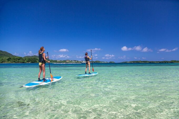 Ishigaki Island: SUP or Kayaking Experience at Kabira Bay - Exploring Kabira Bay