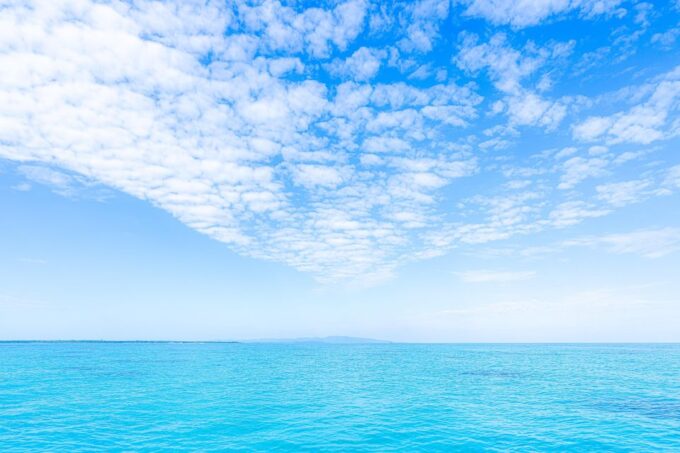 Ishigaki Island: the Best Morning Cruising - Inclusions and Cancellation Policy