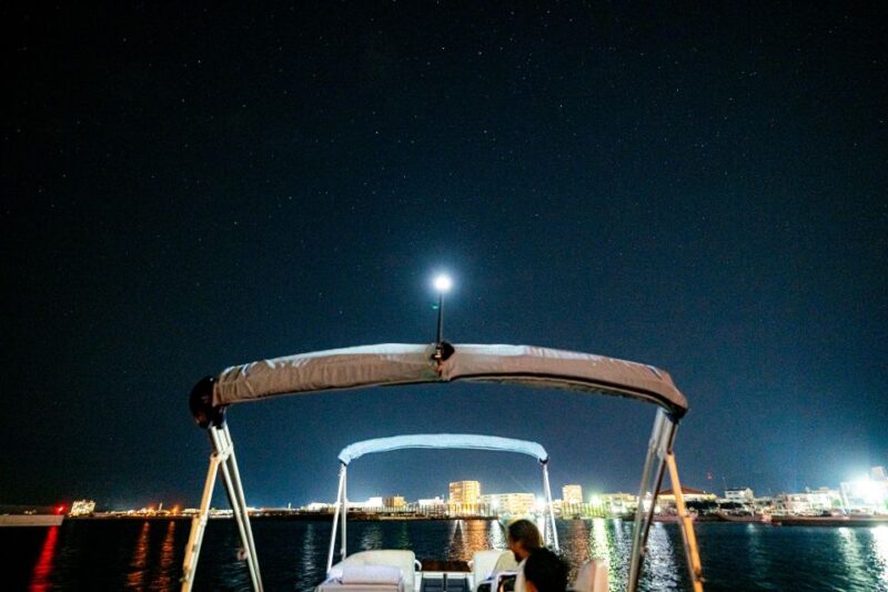 Ishigaki Island: the Best Starry Sky Cruising - Key Points