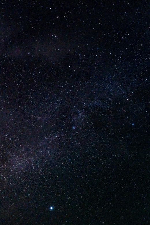 Ishigaki Island: the Best Starry Sky Cruising - Boat and Cruising Schedule