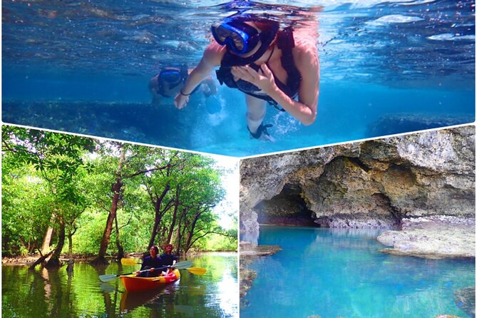Ishigaki Mangrove SUP/Canoe + Blue Cave Snorkeling - Key Points
