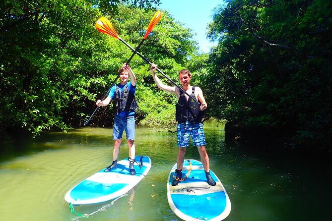 Ishigaki Mangrove SUP/Canoe + Blue Cave Snorkeling - Start and End Times
