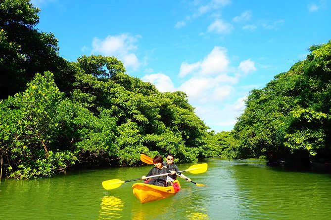 Ishigaki Mangrove SUP/Canoe + Blue Cave Snorkeling - Transportation and Group Size